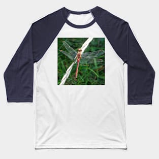 Orange Meadowhawk Baseball T-Shirt